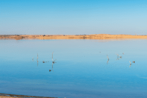 Oasis de Dakhla