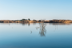 Oasis de Dakhla