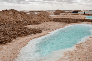 Oasis de siwa