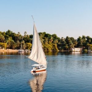 cropped-mohamed-soliman-MFgPnJOsI_I-unsplash-scaled-1.jpg