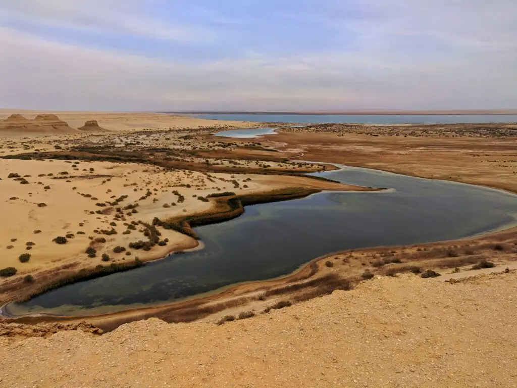 Désert dans l'Oasis de Fayoum