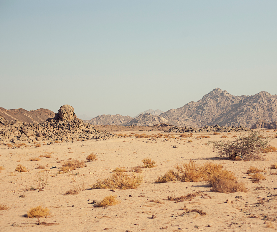 Voyage dans le Désert noir en Egypte