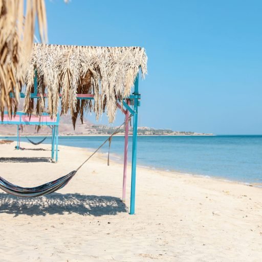 Photo de Mor Shani sur Unsplash