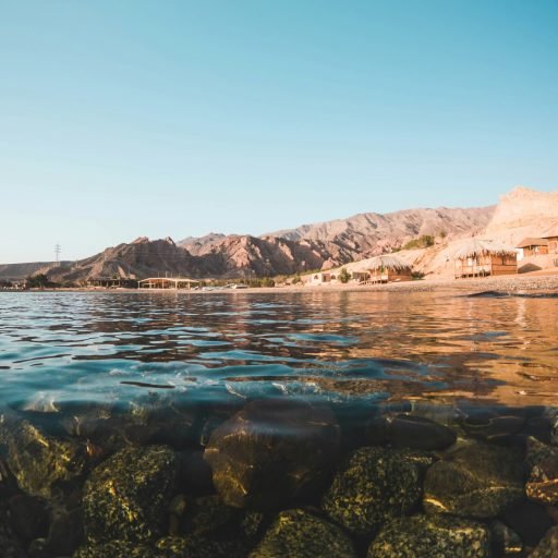 Littoral de la mer rouge. Nassim Wahba - Unsplash